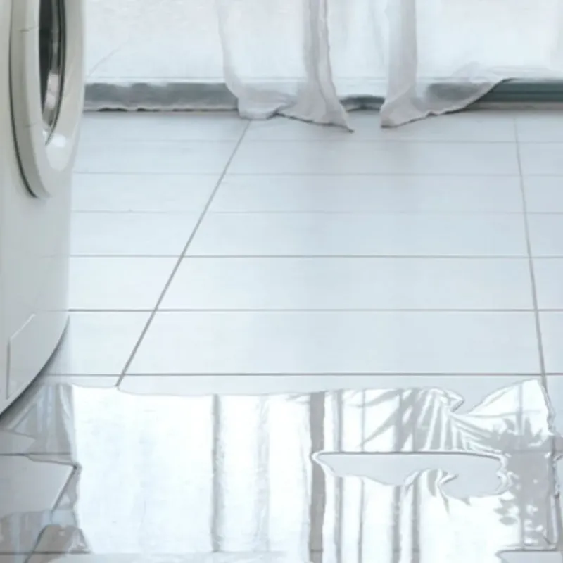 Appliance Leak Cleanup in Mango, FL