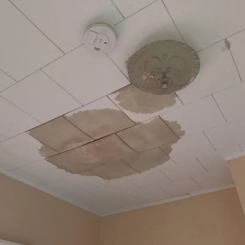 Ceiling Water Damage Repair in Mango, FL